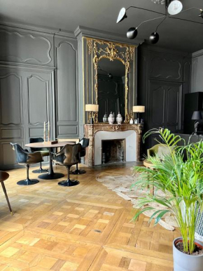Luxueux 2 pièces 65m2 Hôtel Particulier XVII ième siècle-Centre Historique Clermont-Ferrand